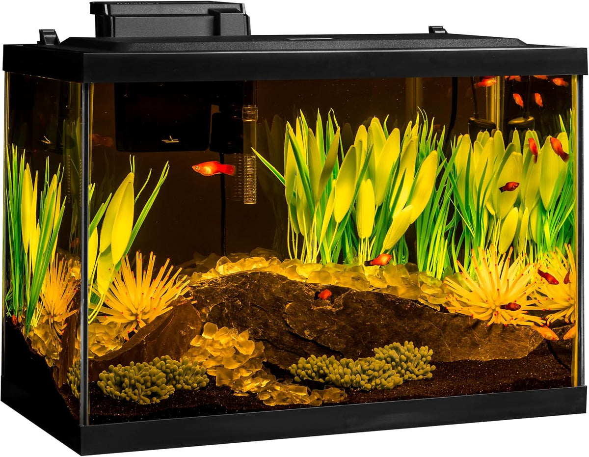 Color Complete 20 Gallon Fish Tank Kit for Freshwater, Saltwater Fish