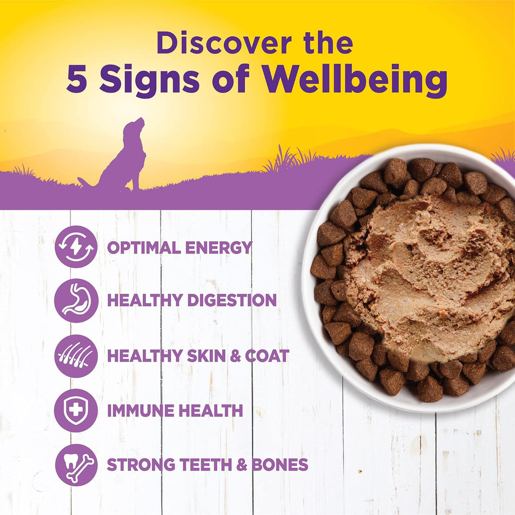 Complete Health Pate Age Advantage Senior Canned Wet Dog Food, Wholesome Grains, Natural, Chicken and Sweet Potato