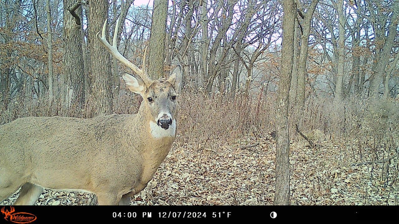 Insite-V Cellular Trail Camera 32 MP, 80ft Detection