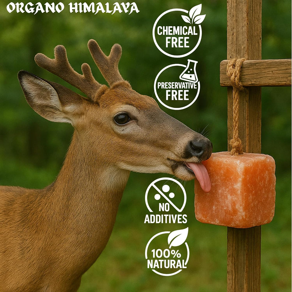 Himalayan Salt Lick On Rope 7.5-8 lb Each (Pack of 2) for Horses, Deer, Goats & Livestock | Natural, Mineral-Rich