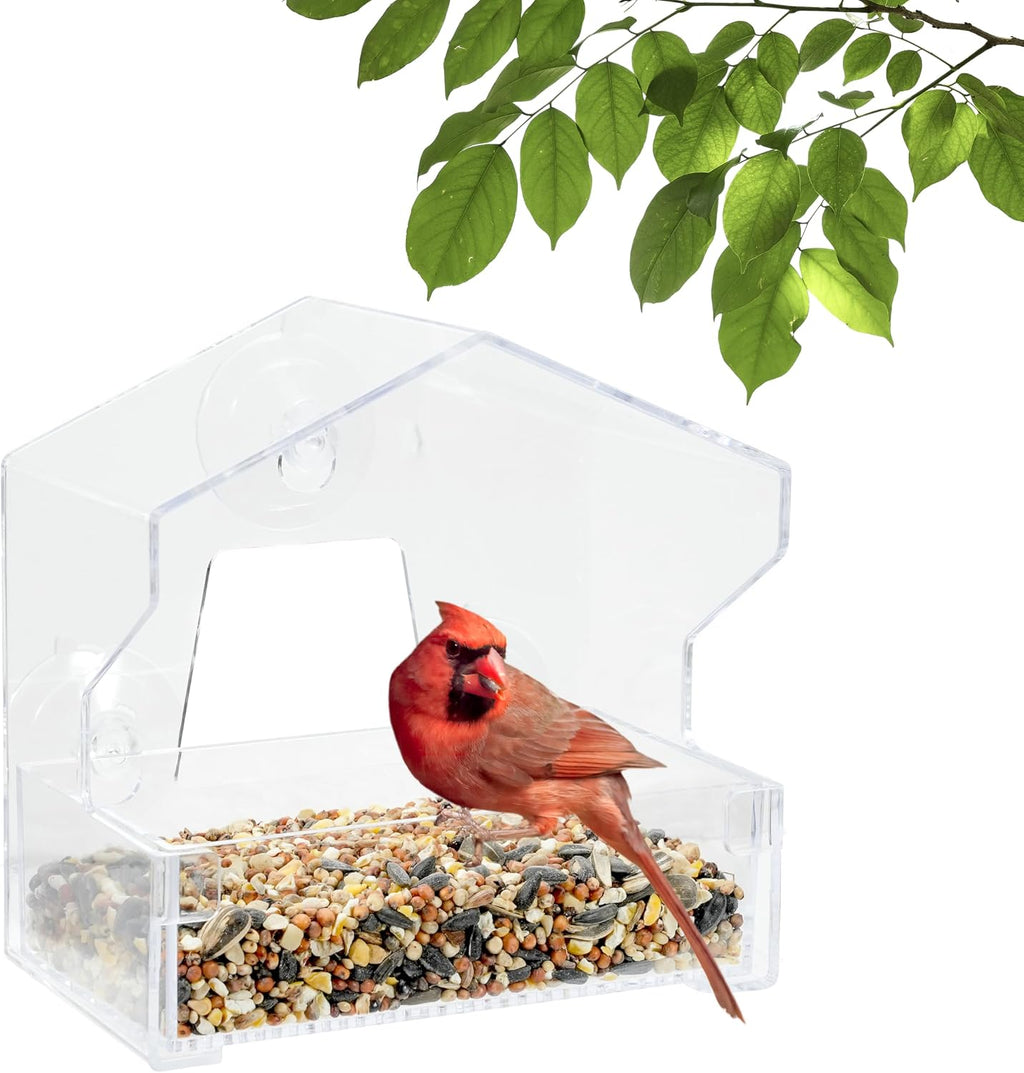 Clear Outdoor Window Bird Feeder with Strong Suction Cups – 1/2 Lb Seed Capacity - Perky Pet 345 - Entertaining Bird