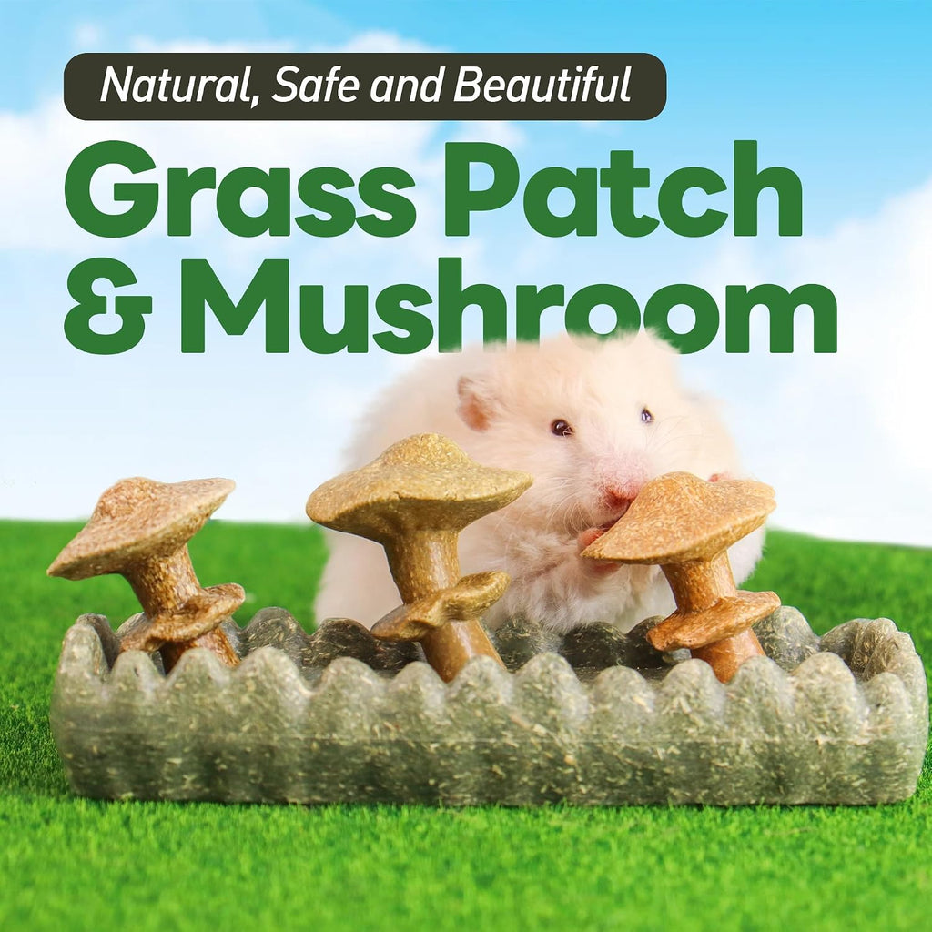 Guinea Pig Chew Toys, Prevent Teeth Overgrowth, Natural Timothy Grass & Vegetables, Hamster Chew Toys, Guinea Pig
