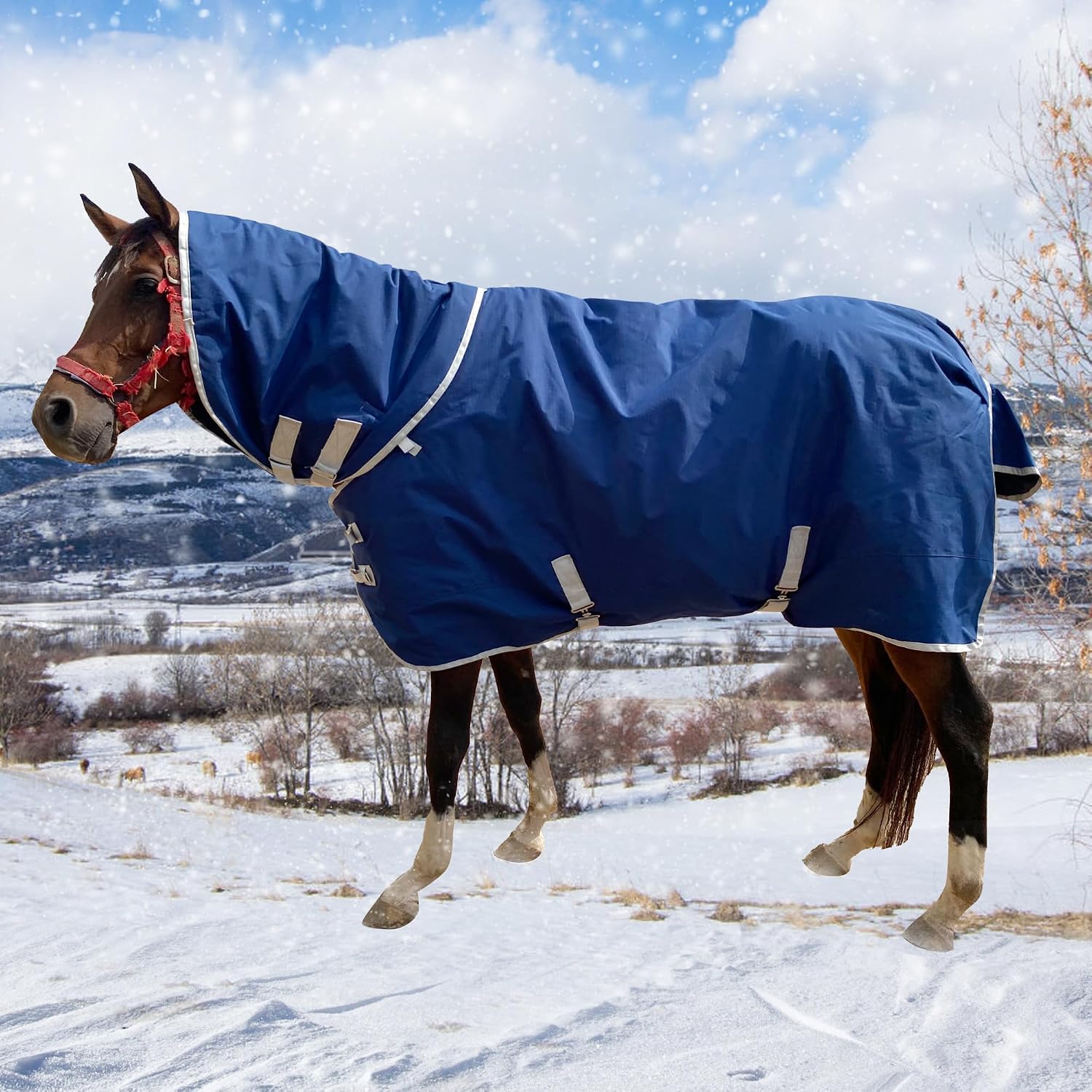 1200D Oxford Warm-Keep Horses Turnout Blanket with Detachable Neck Cover，Heavy Weight Winter Turnout ，Horse Care