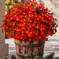 8 Bundles Artificial Christmas Flowers for Outdoors