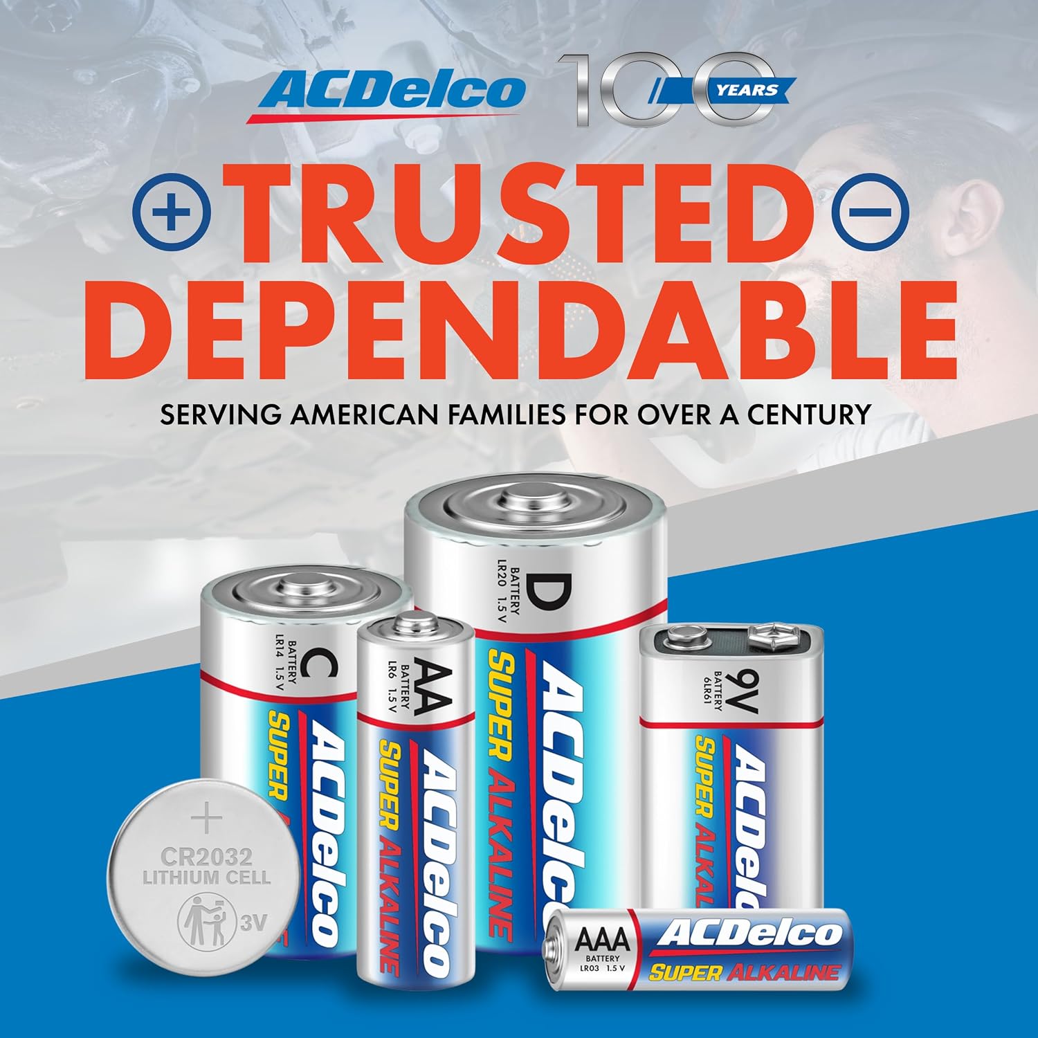 ACDelco 48-Count Double AA Batteries, Maximum Power Super Alkaline Battery, 10-Year Shelf Life, Reclosable Packaging