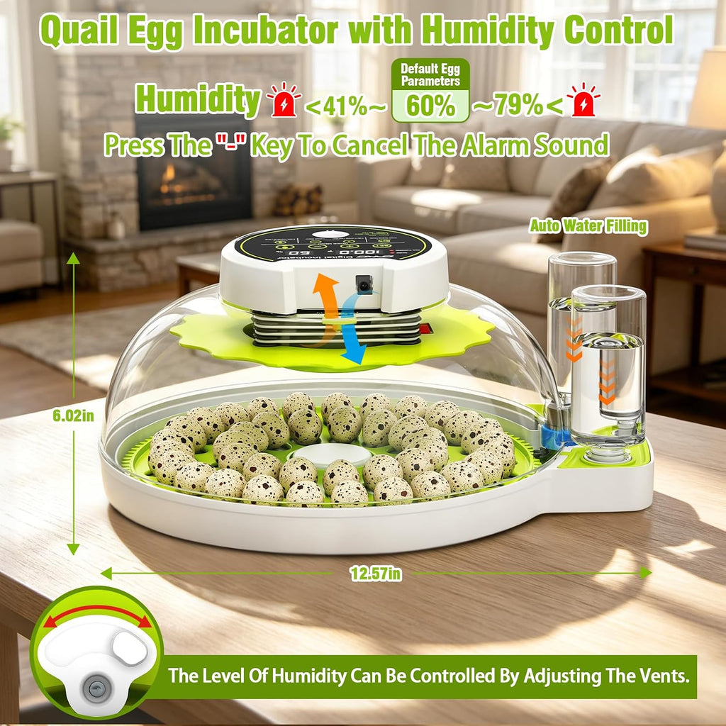 Quail Egg Incubator for Hatching 40 Quail Eggs with Automatic Turner