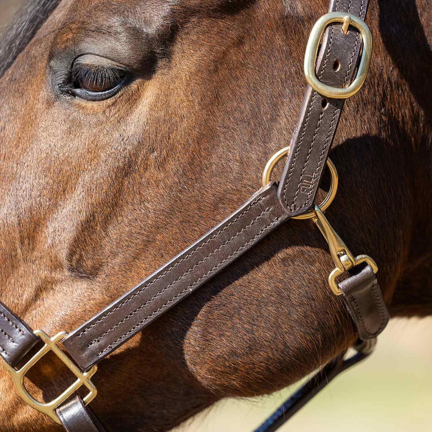 Versailles Triple Stitched Leather Horse Halter with Double Buckle Crown & Throat Snap, Adjustable Premium Leather