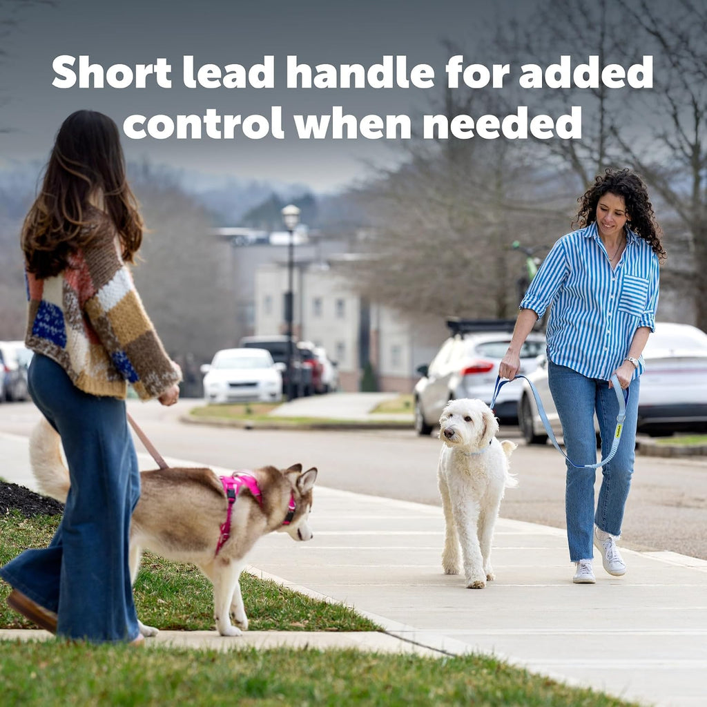Comfort 4 ft Bungee Dog Leash, Blue