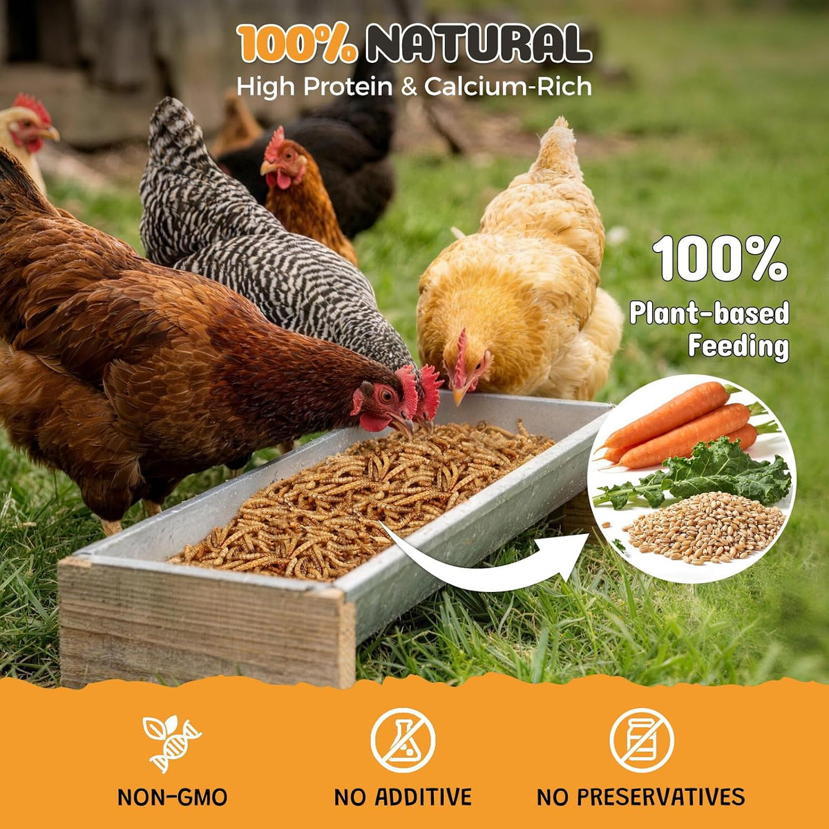 Dried Mealworms 10LB, High-Protein Poultry Treats & Wild Bird Food