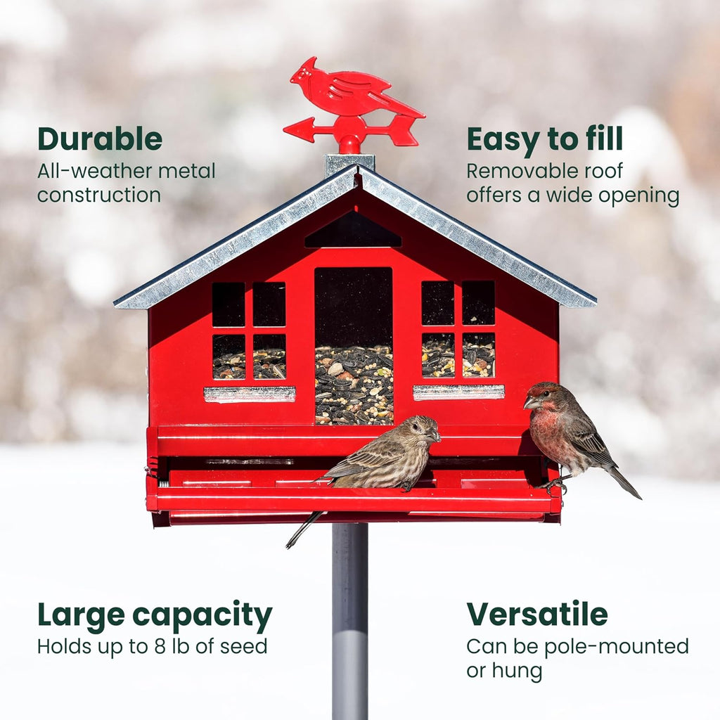 Squirrel-Be-Gone II Country Style Bird Feeder, 8 lb Seed Capacity