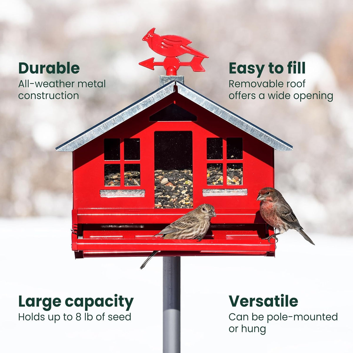 Squirrel-Be-Gone II Country Style Bird Feeder, 8 lb Seed Capacity