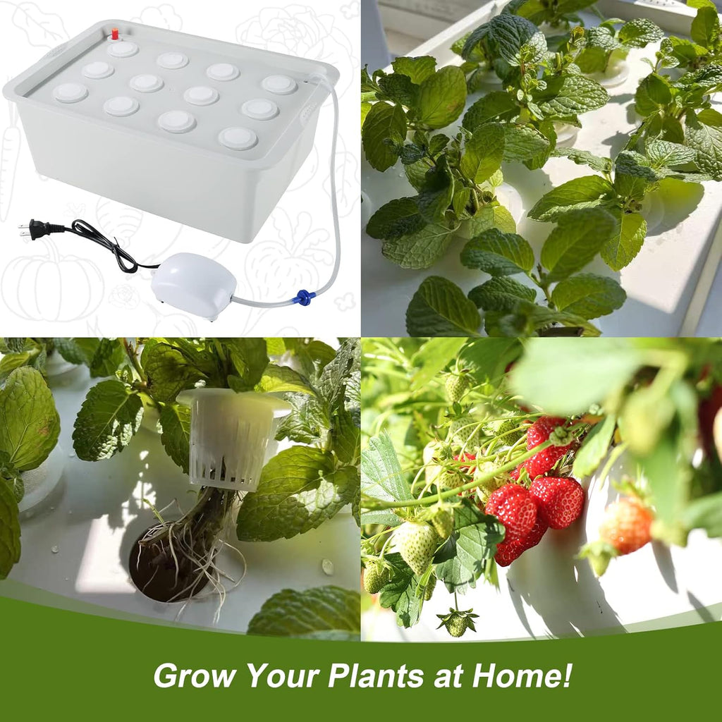 Indoor Hydroponic Grow Kit 12 Sites Deep Water Culture System | Hydroponic Garden Kit with Air Pump, Bubble Stone &