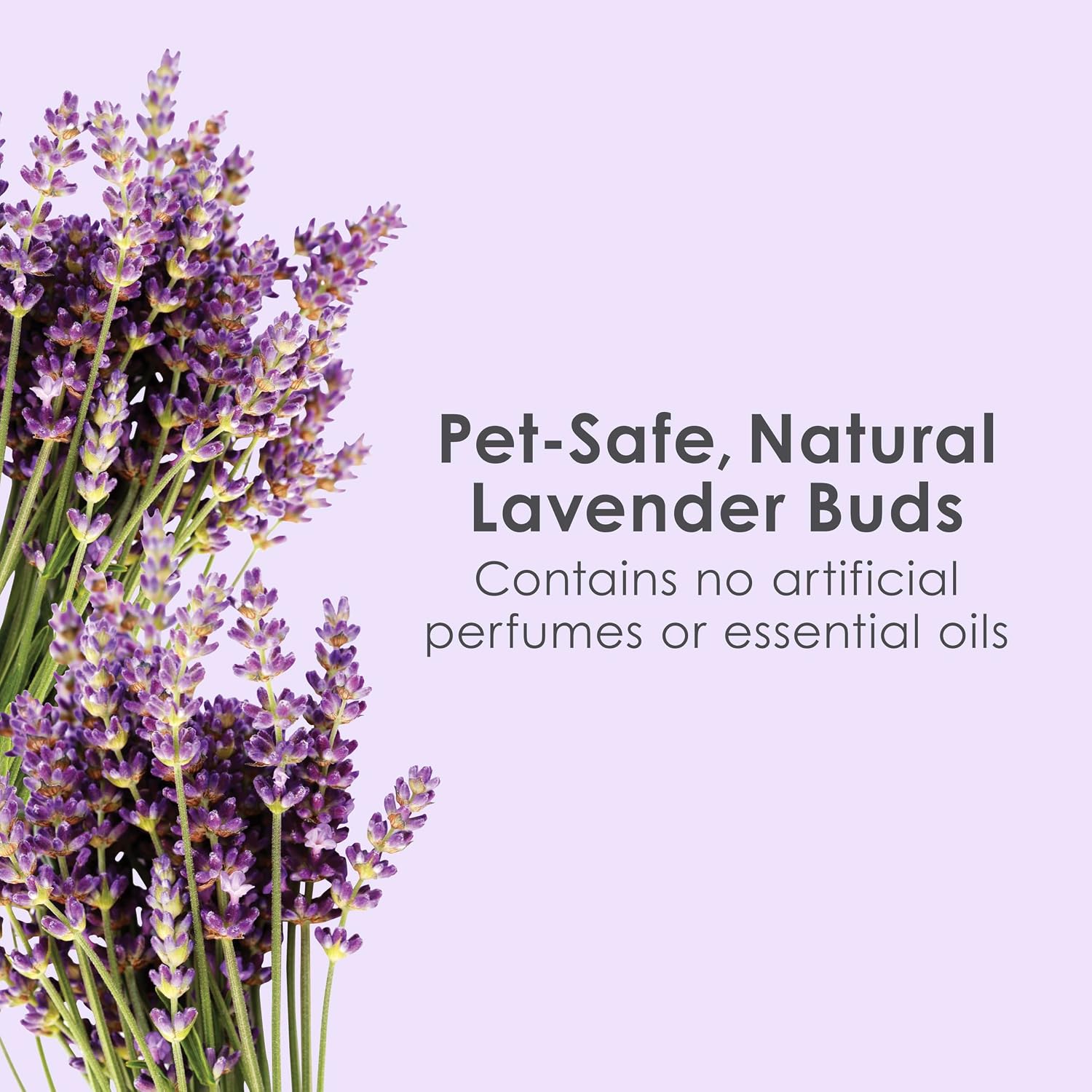 Clean & Cozy Lavender Paper Bedding for Guinea Pigs, 49.2 Liters | Fresher habitats with rabbit bedding. Hamster