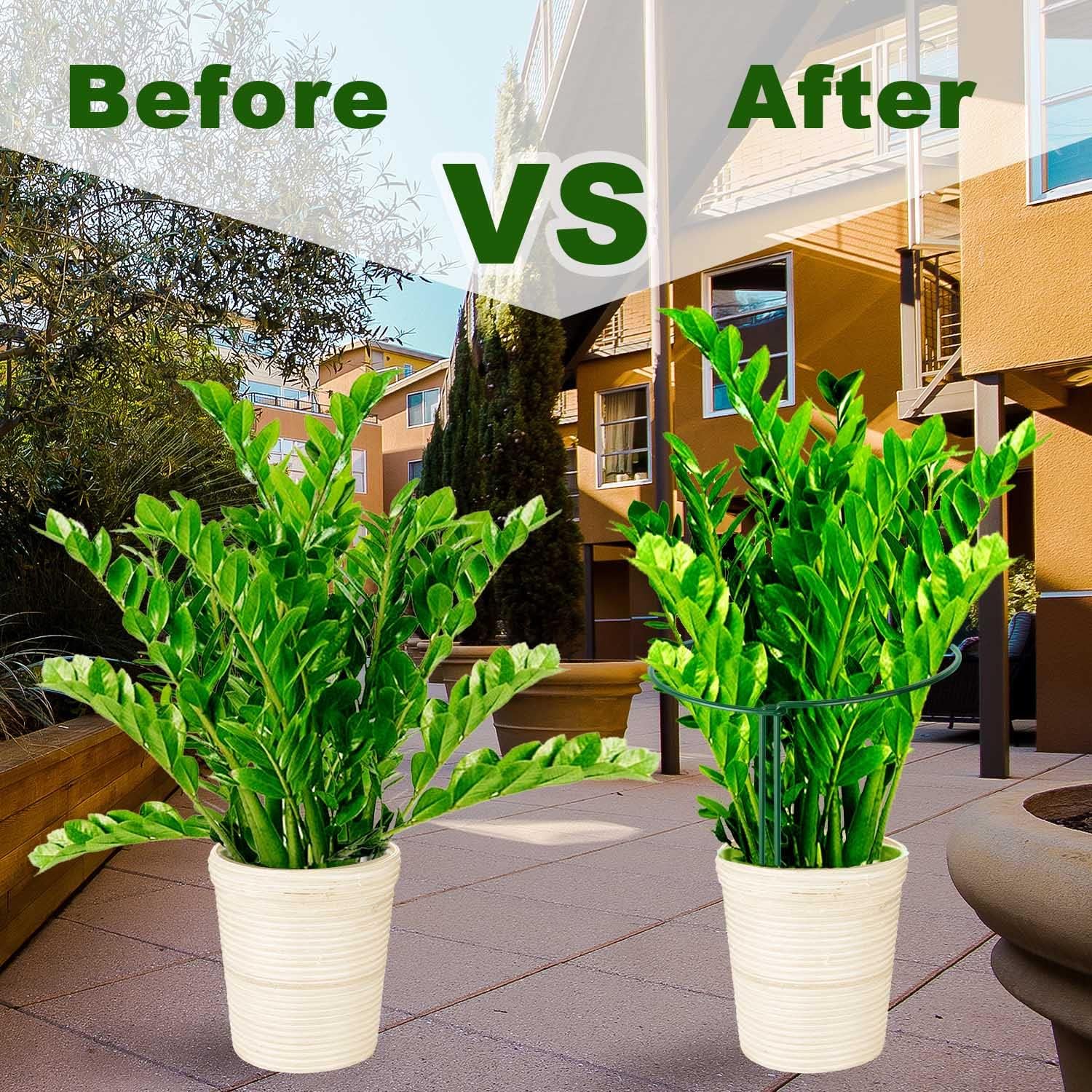 8 Pack Plant Support Stakes, Half Round Metal Garden Plant Stake Indoor Peony Cages and Supports, Green Plant Support