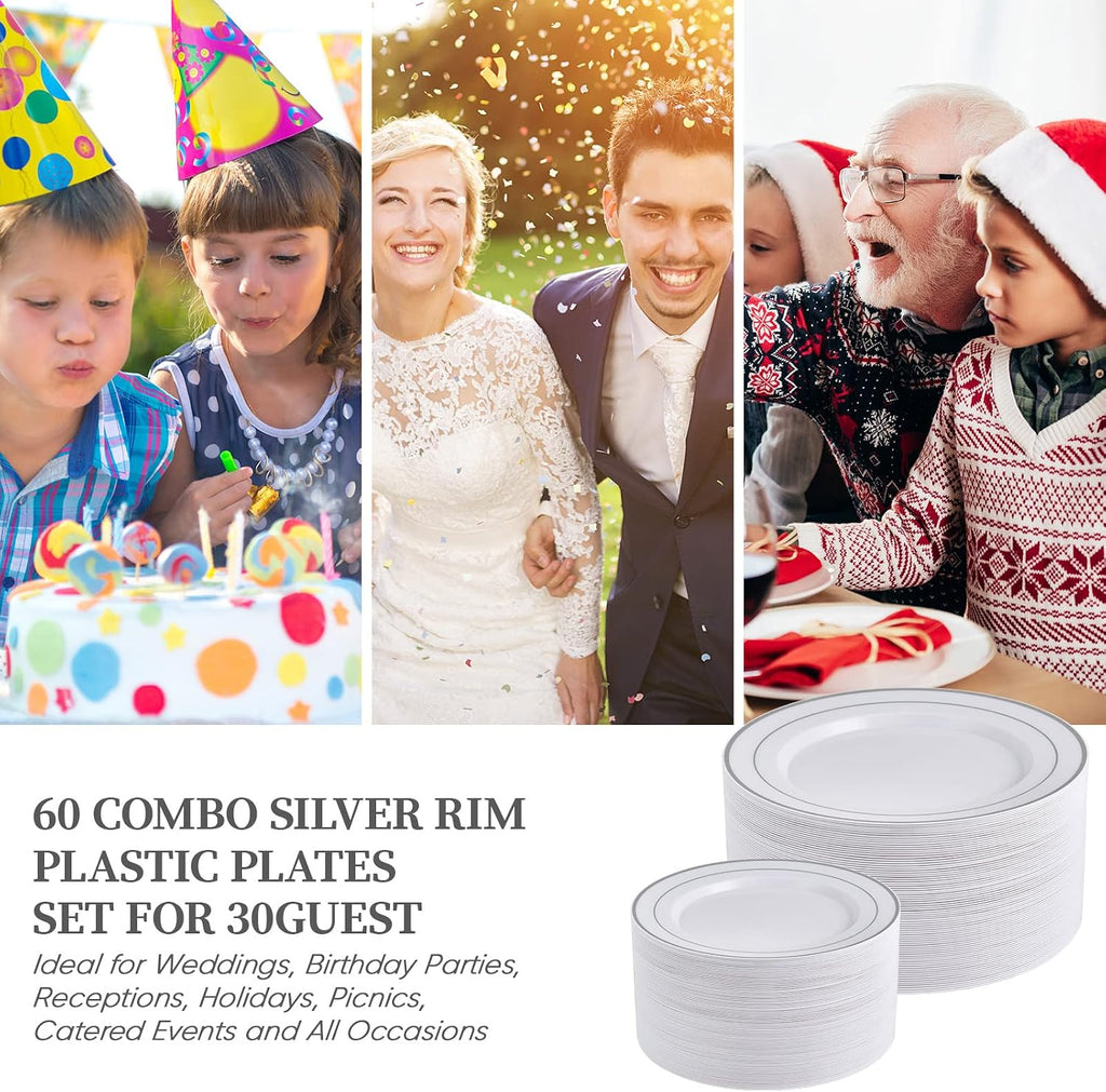 Silver Plastic Plates Set of 60,Disposable Plates with Silver Rim