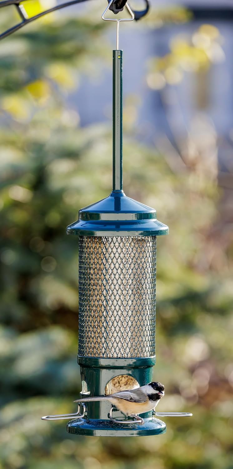 Squirrel Buster Standard Squirrel-proof Bird Feeder w/4 Metal Perches, 1.3-pound Seed Capacity, garden green