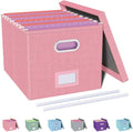 File Organizer, File Box, File Cabinet for Letter File Folder Storage, Portable Storage Bins with Lids for