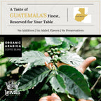 Leiva's Unroasted Green Coffee Beans Nuevo Oriente 1kg (35 oz)