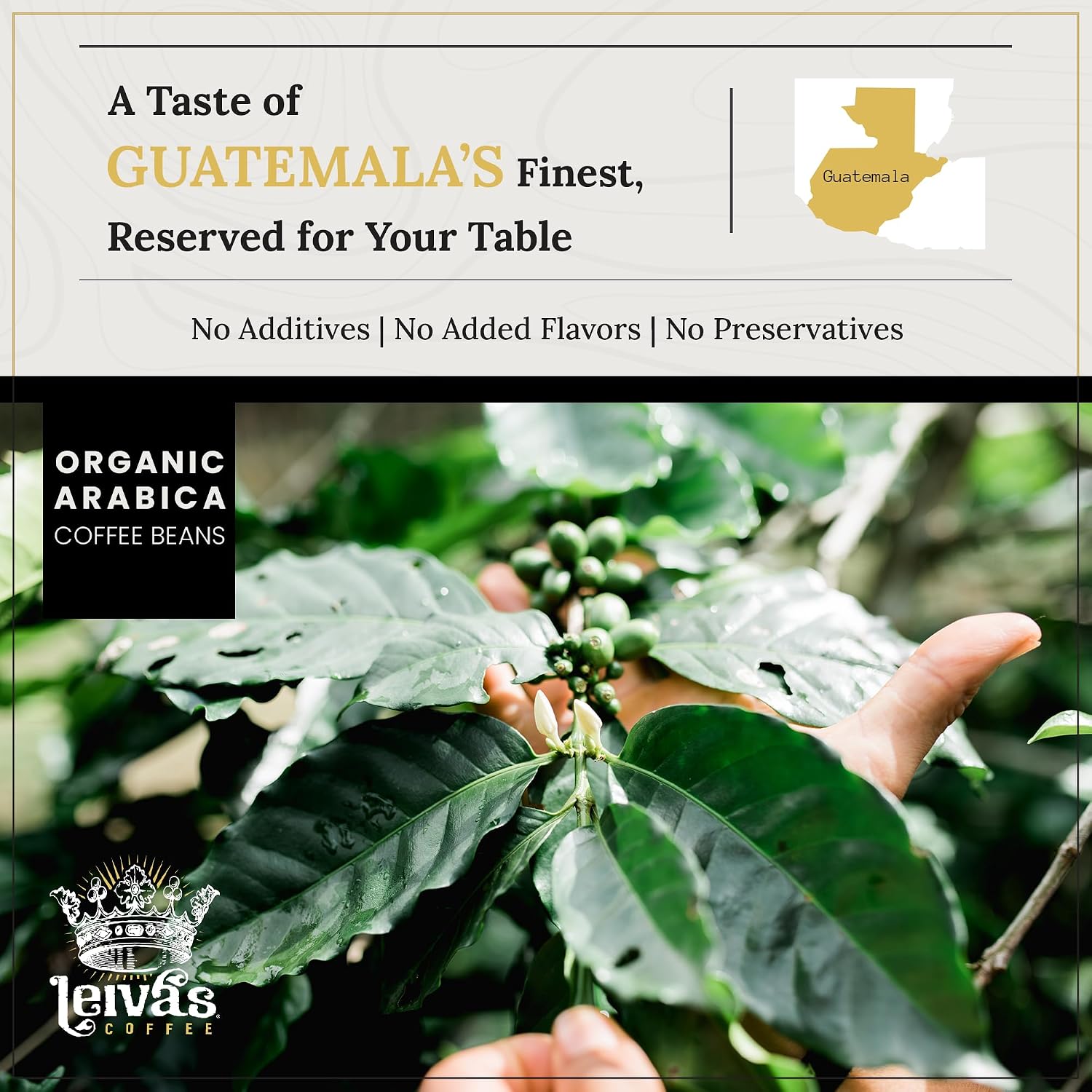 Leiva's Unroasted Green Coffee Beans Nuevo Oriente 1kg (35 oz)