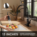 Black Kitchen Faucet with Pull Down Sprayer, Atique Style