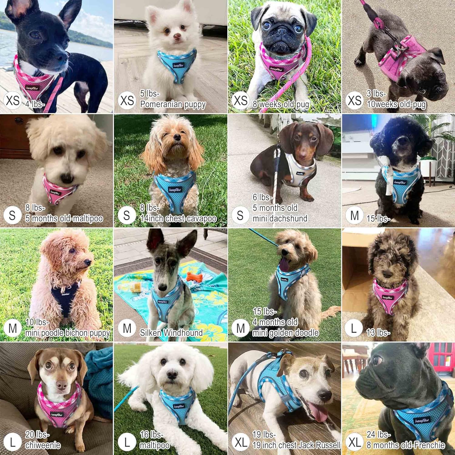 Dog Harness with Leash Set, No Pull Adjustable Reflective Step-in Puppy Harness with Thickened Padded Vest for
