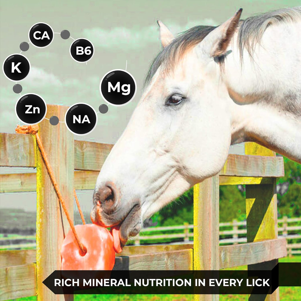 Himalayan Pink Salt Licks for Animals – Natural Salt Block with Rope for Horses, Cows, Deer & More – No Harmful