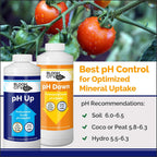 pH Up & Down Control Kit for Optimal Nutrient Uptake, 1 Quart | Helps Avoid Nutrient Lockout