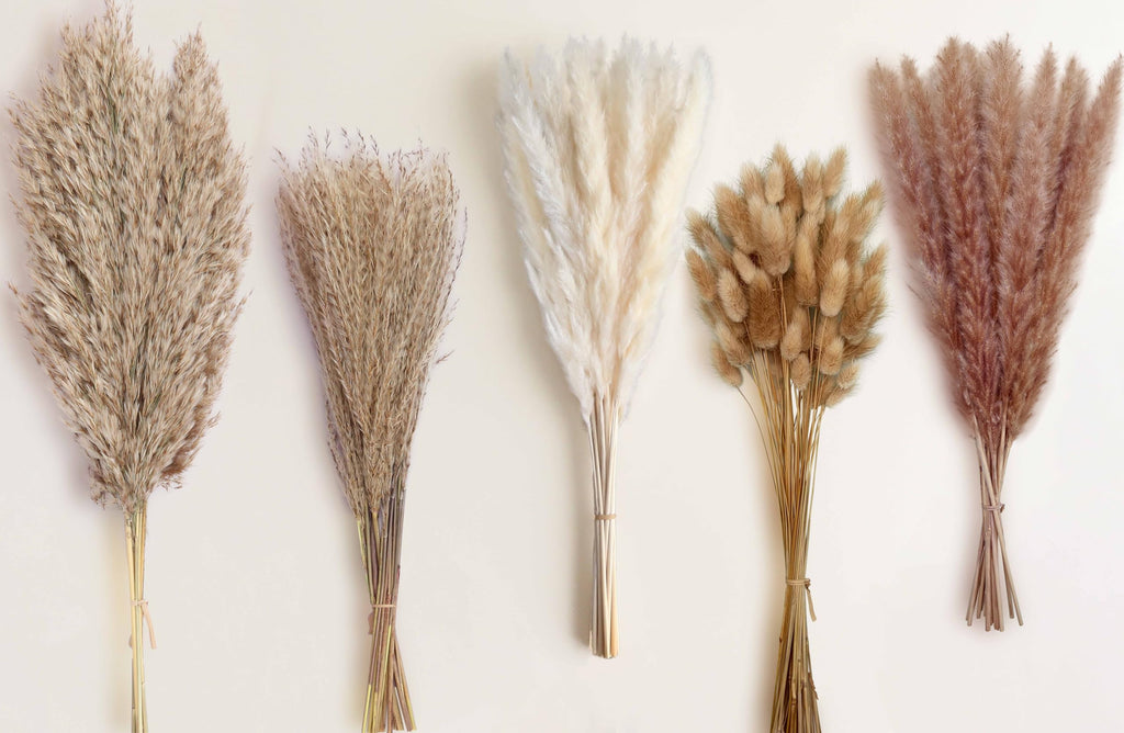 115 Stems Dried Pampas Grass, Natural Boho Table Decor Length 17"