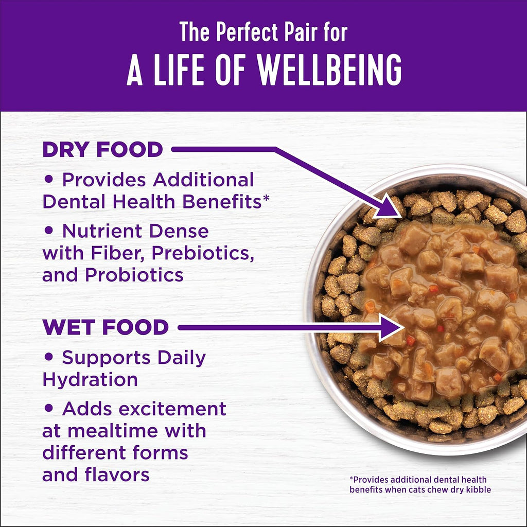 Complete Health Adult Dry Cat Food for Indoor Cats, Natural, Wholesome Grains Kibble, Chicken Recipe, 5 lb Bag