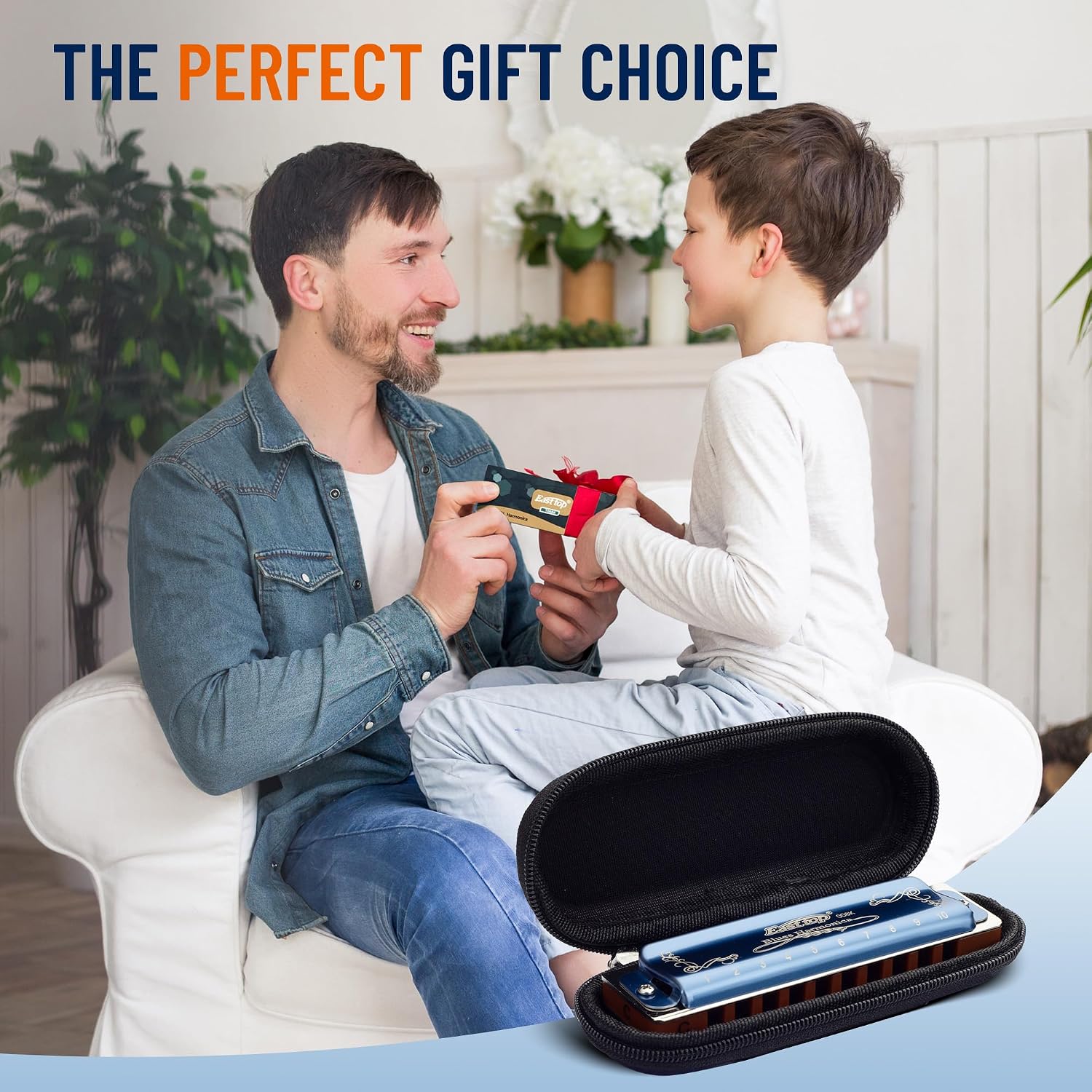 Harmonica Key of C, 10 Holes 008K Diatonic Mouth Organ with Blue Case, Standard Harmonica For Adults, Professionals