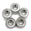 Fullerkreg 3/8-16 Stainless Steel Serrated Flange Lock Nuts