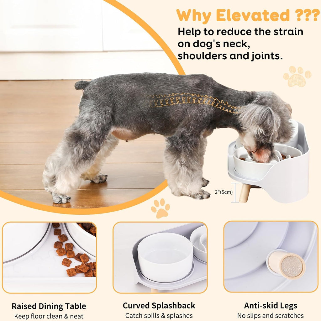 Elevated Slow Feeder Dog Bowls - Ceramic Food and Water Bowl Set with Stand - Raised Pet Dishes for Small and Medium