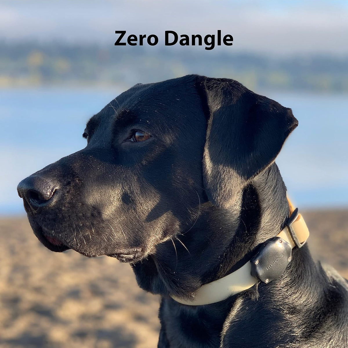 AirTag Dog Collar Holder - Waterproof