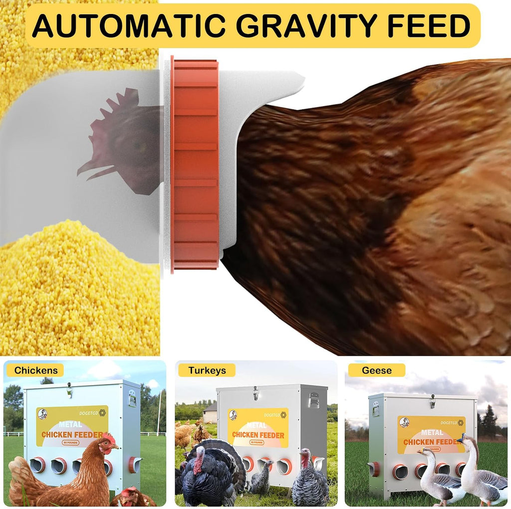 Automatic Chicken Feeder No Waste Metal Poultry Feeder Large Capacity 85lbs for Chickens, Geese, Ducks, Turkeys