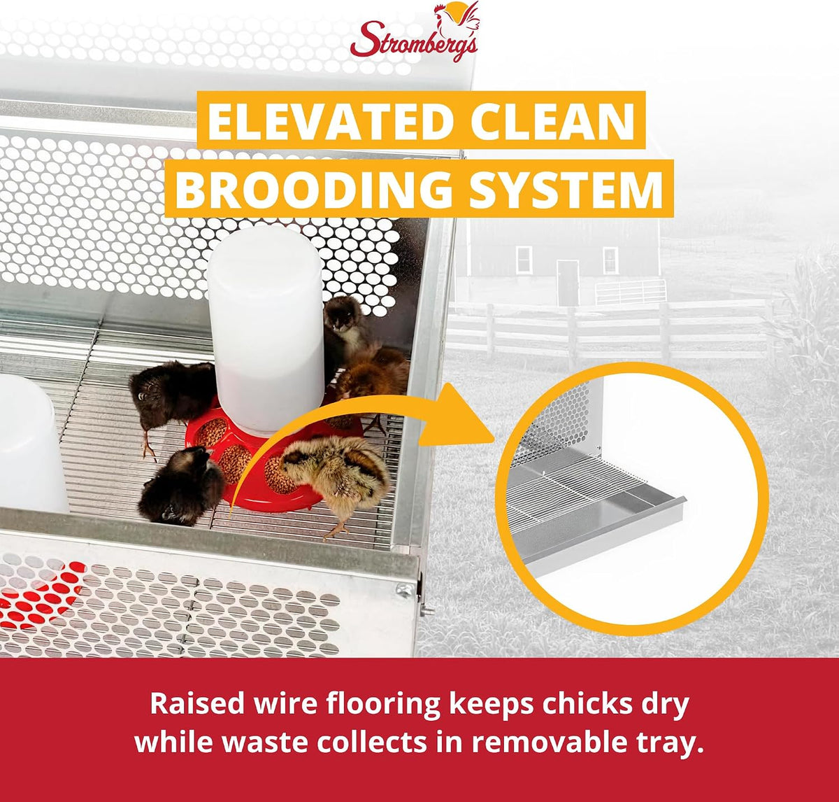 Stand Up Chick Brooder, Elevated Chicken Brooder Pen with Lamp Stand, Removable Tray, Wire Floor, Ventilated Steel