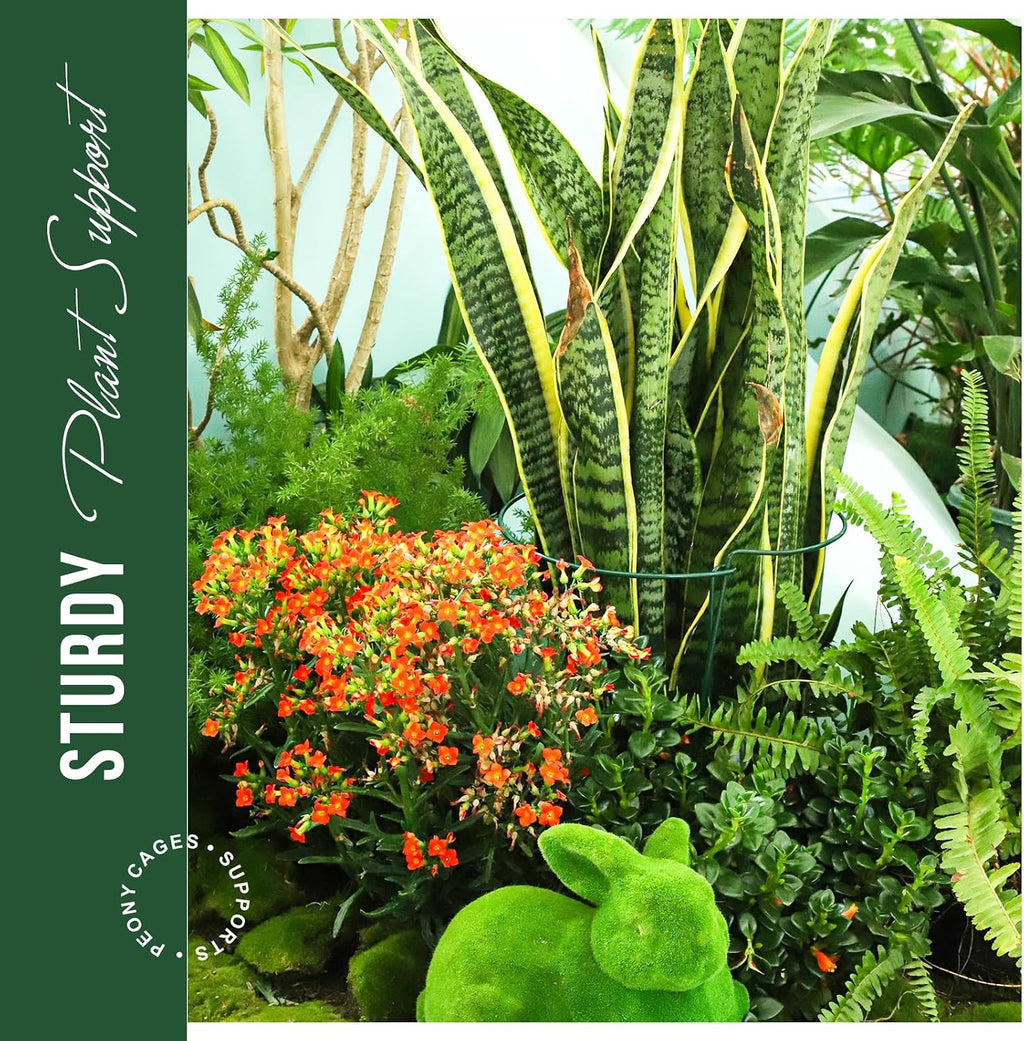 Plant Support Stakes, 4 PCS Plant Stakes, Plant Support, Peony Cages and Supports, Garden Stakes, Plant Stakes for