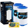 4CH-21 SPA Filter Replaces PDM25P4 2PACK