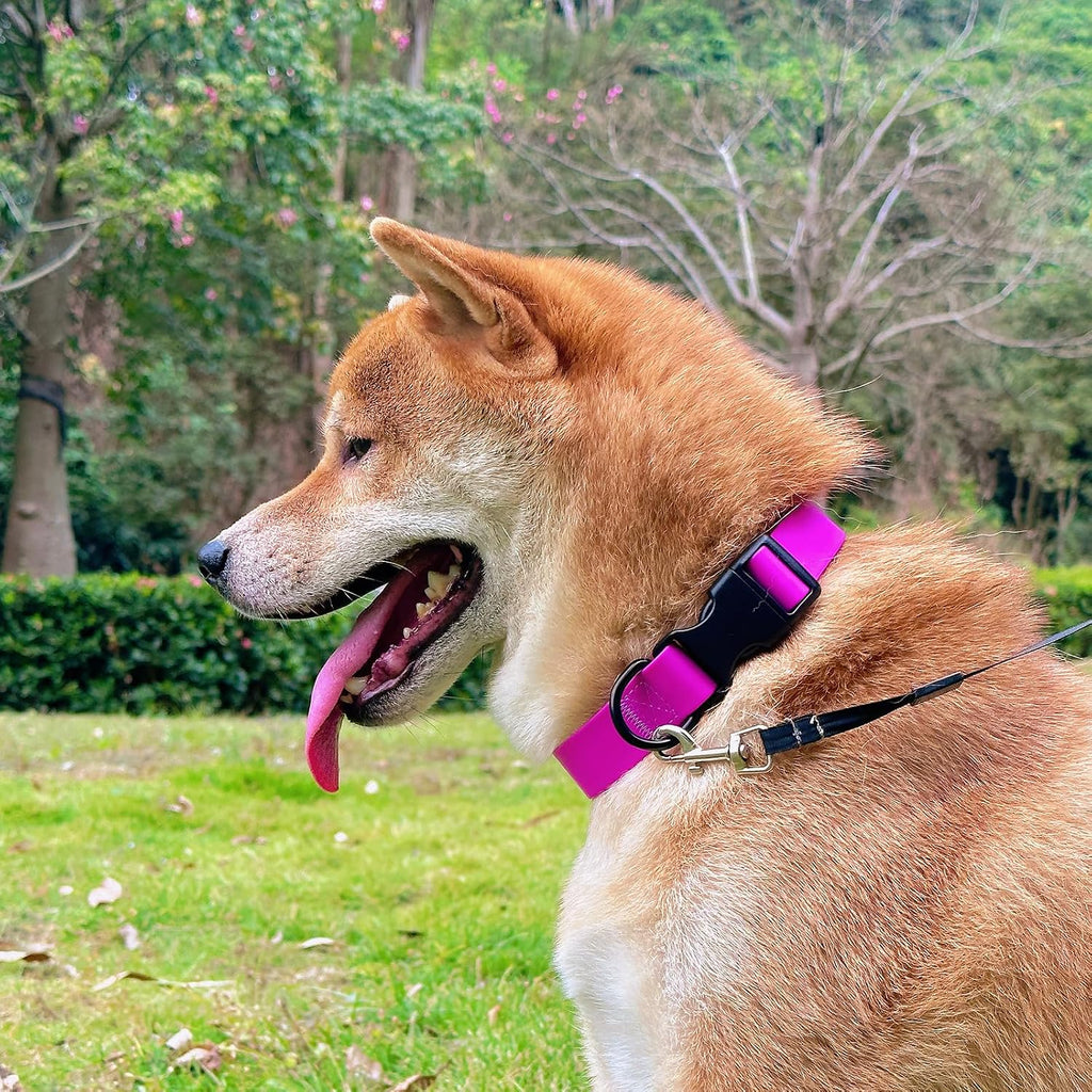 Waterproof Dog Collar Durable and Easy to Clean Rubber Dog Collars Odor-Proof Fits Small Medium Large Dogs (Rose