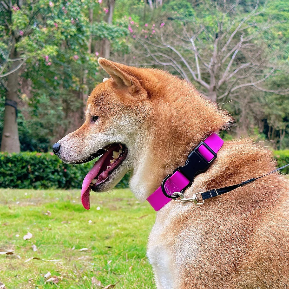 Waterproof Dog Collar Durable and Easy to Clean Rubber Dog Collars Odor-Proof Fits Small Medium Large Dogs (Rose