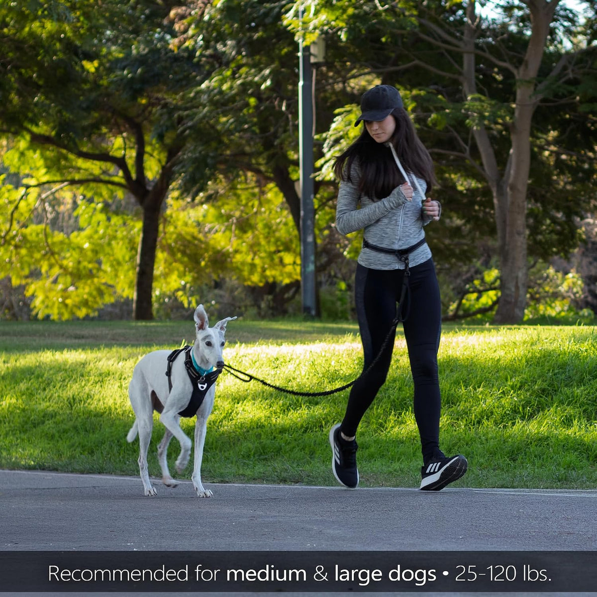 Waist Leash for Dog Walking, Waist Dog Leash for Running, Hands Free with Metal Quick-Release Buckle, Rope Bungee