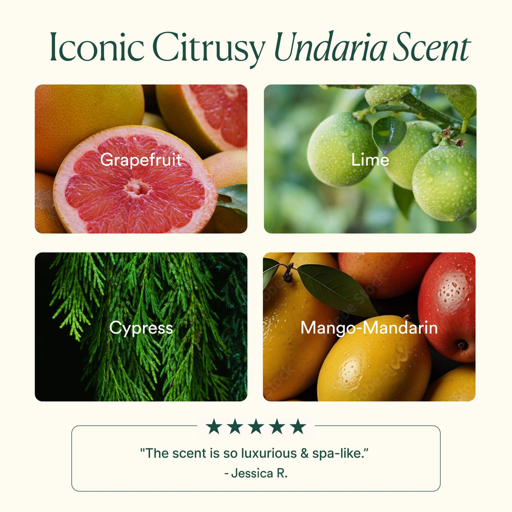 Undaria Algae Body Wash, pH Balanced Cleanser, Citrus Scent, 8 oz