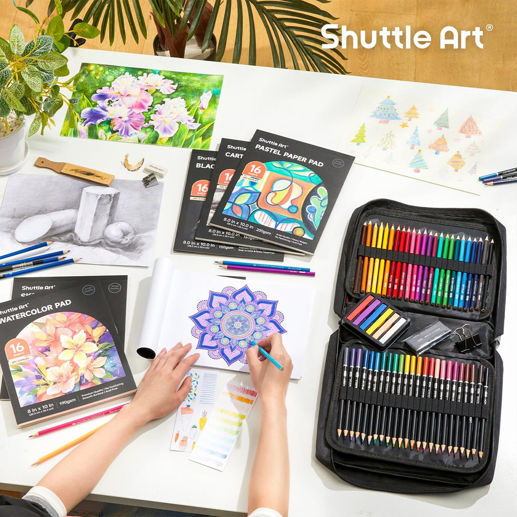 124 PCS Drawing Kit, Professional Drawing Supplies with Sketch, Charcoal, Colored, Graphite, Pastel Pencils & Sticks