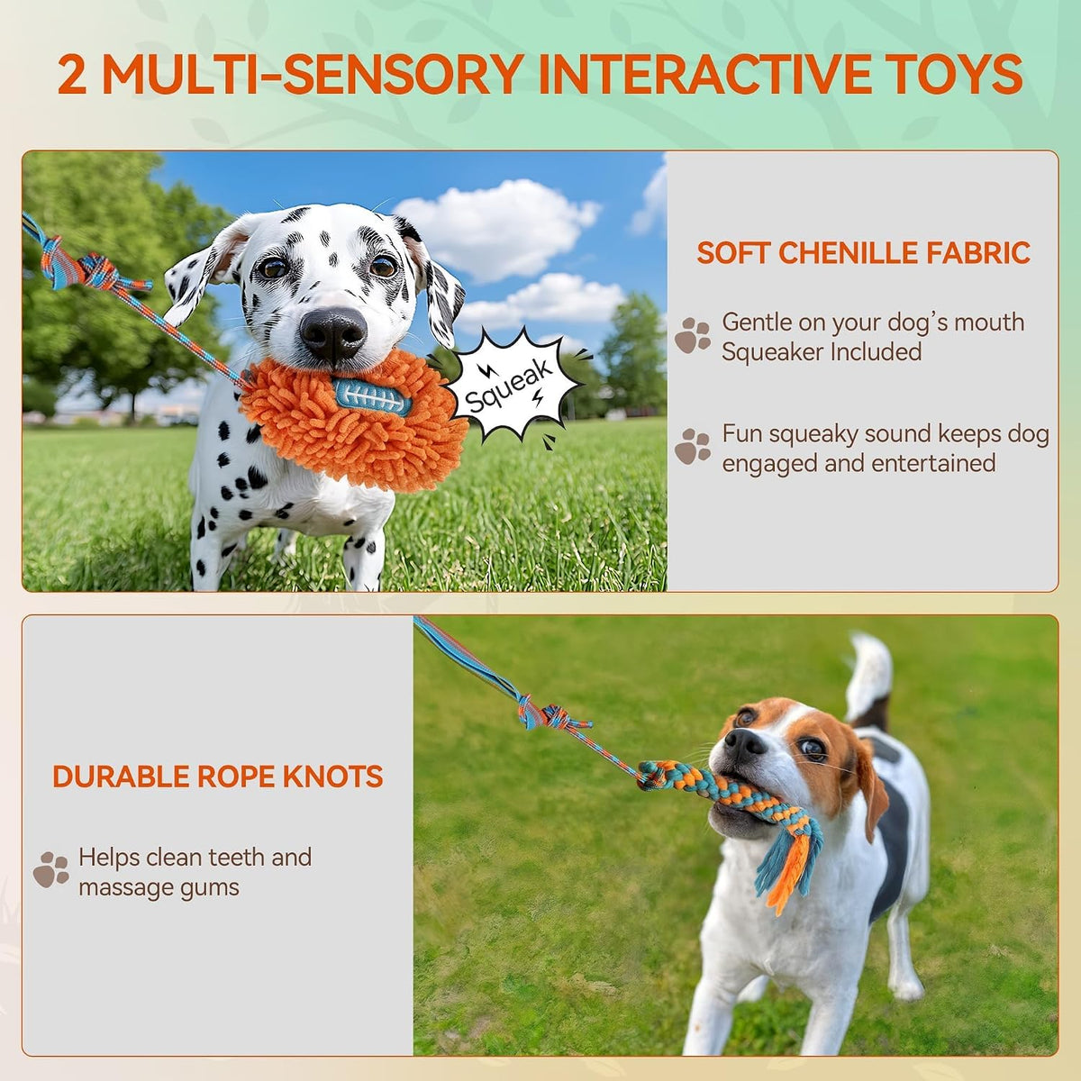 Dog Bungee Tug Toy, Outdoor Hanging Bungee from Tree for Chase & Tug Fun, Interactive Tug-of-War Toy for Small and