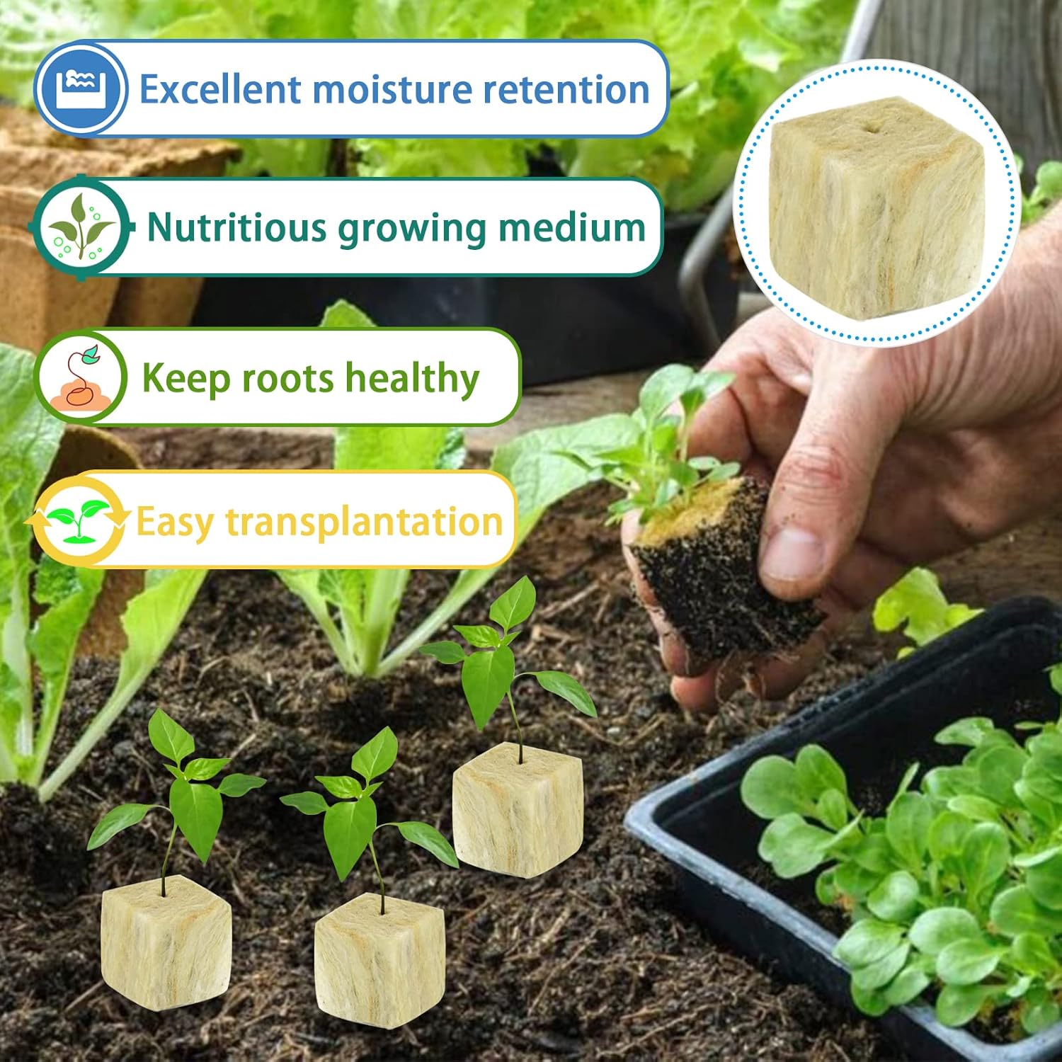 1.5 Inch Rockwool Cubes Seed Starter Plugs for Hydroponics,196 Plugs | Promotes Germination Rate & Root Growth