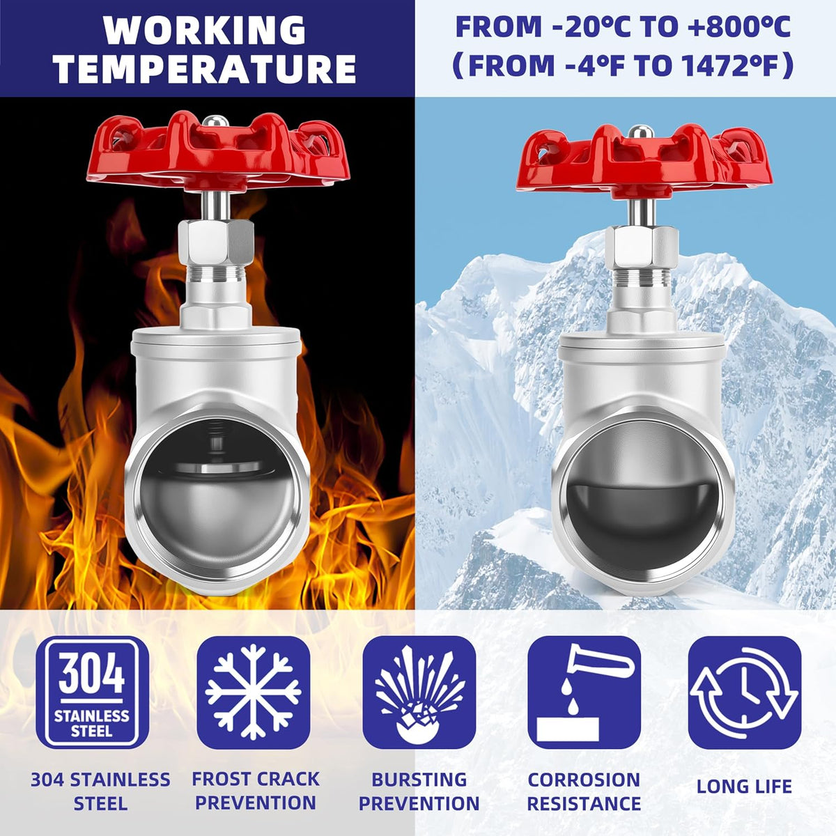 2" NPT B-Type Straight Pattern Globe Valve, Stainless, Female Thread, DN50