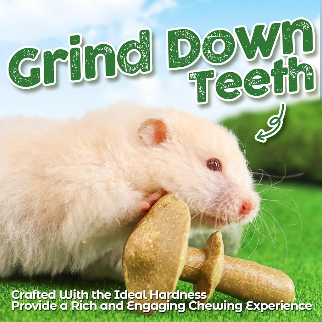 Guinea Pig Chew Toys, Prevent Teeth Overgrowth, Natural Timothy Grass & Vegetables, Hamster Chew Toys, Guinea Pig