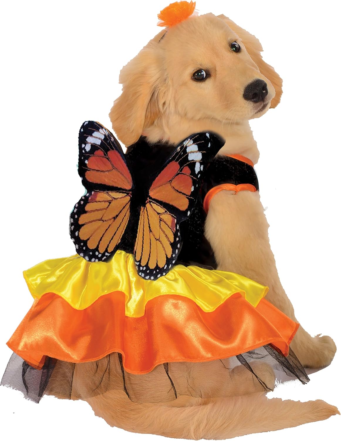 Monarch Butterfly Pet Costume for Dogs or Cats, XL