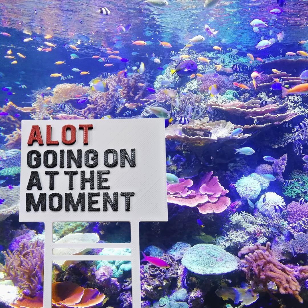 Aquarium Decor Alot Going On at The Moment Fish Tank Decorations
