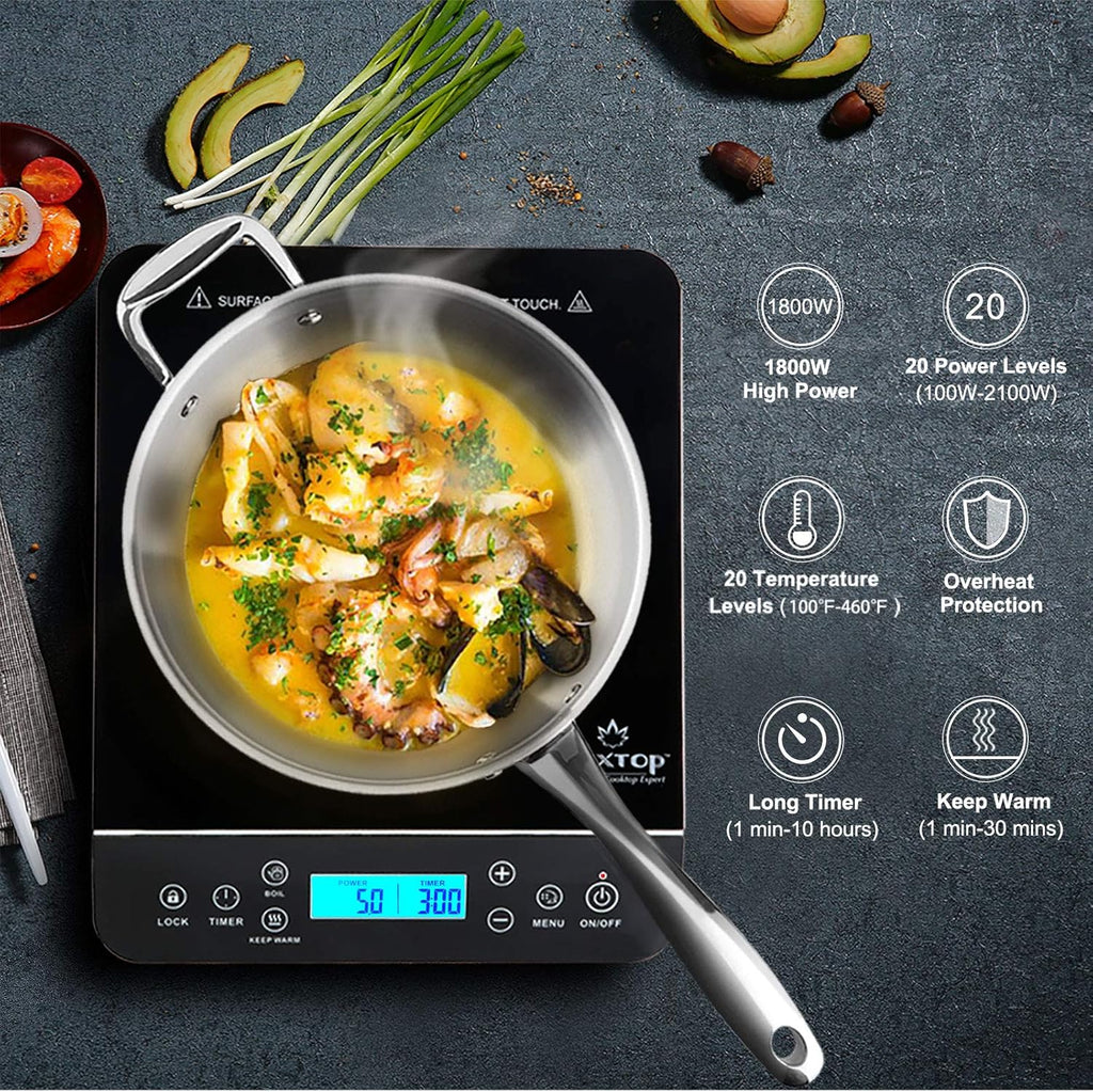 Portable Induction Cooktop, Countertop Burner 1800W Silver 9600LS