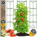 Tomato Cage - Tomatoes Plant Stakes Support Cages Trellis for Garden and Pots (3 Pack - Extra Tall Upto 68 inches)